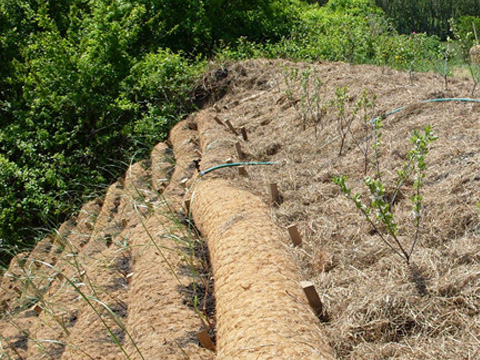 coir log